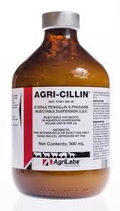 아그리실린(Agri-Cillin)의 효능과 부작용, 사용시 주의할 점
