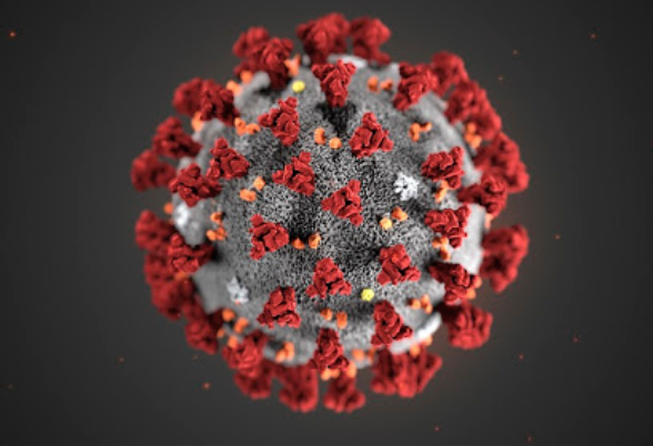 코로나 바이러스 와 감기증상 구별법 및 예방 행동수칙 3가지
