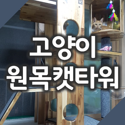 고양이 원목캣타워 추천!! 수제공작소 아카시아 원목 링 캣타워 리뷰