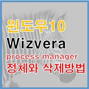 Wizvera process manager 사용용도 와 삭제방법