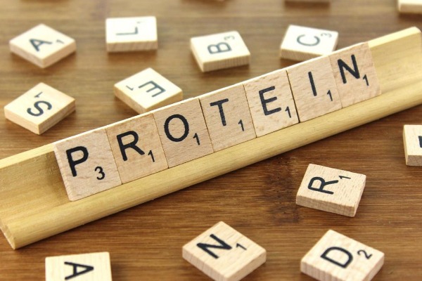 단백질 많은 음식 종류