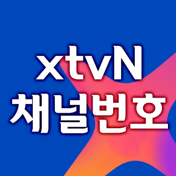 xtvn 채널번호 지역별 정리