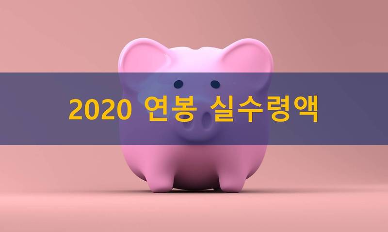 2020년 연봉 실수령액 정리