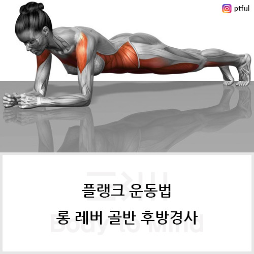 플랭크 운동법(plank exercise), 롱 레버 골반 후방경사(long lever pelvic posterior tilt)