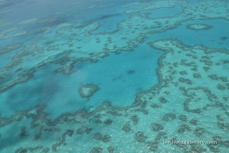 #2 [해밀턴 아일랜드] 그레이트 베리어 리프(Great Barrier Reef)