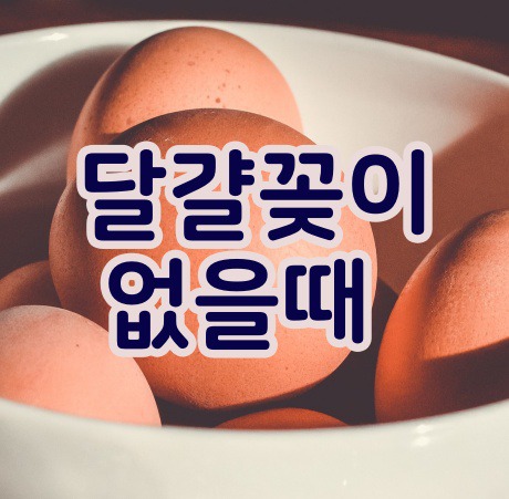달걀보관방법은  신선도유지를 달걀판을이용