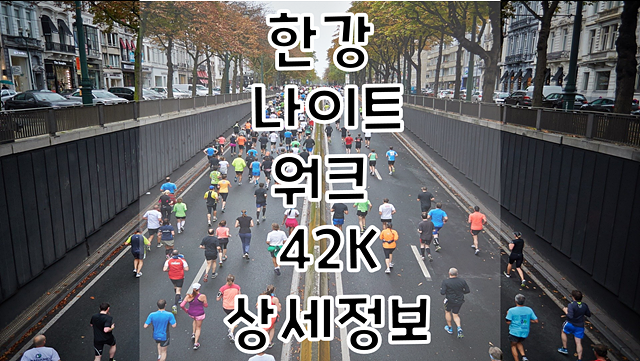 2020 한강 나이트 워크 42K 상세정보