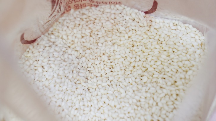 쌀 벌레 걱정 없는 쌀 보관방법