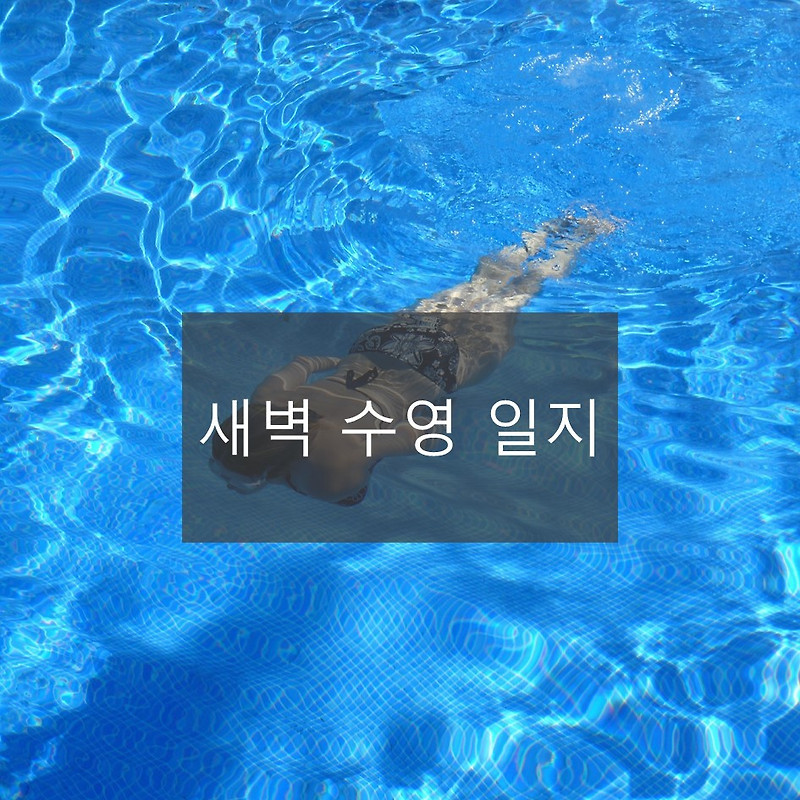 오랜만에 쓰는 새벽수영일지