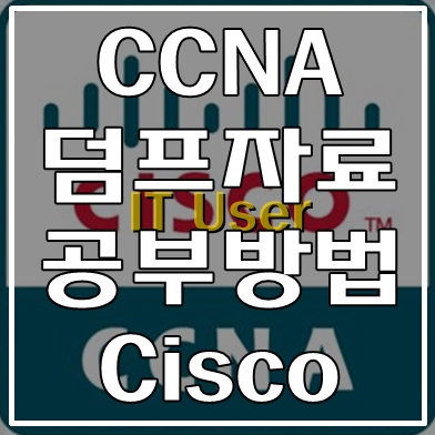 시스코(Cisco) CCNA자격 확인
