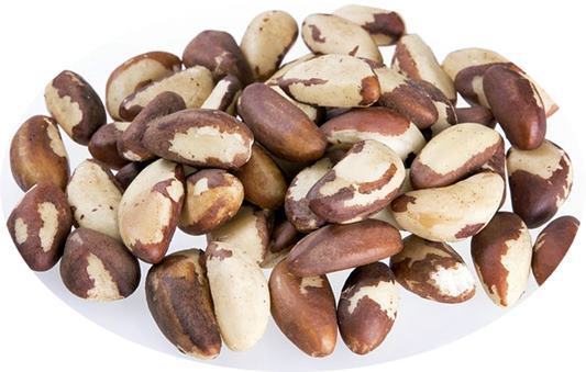 항암식품으로 알려진 브라질너트(Brazil Nut)