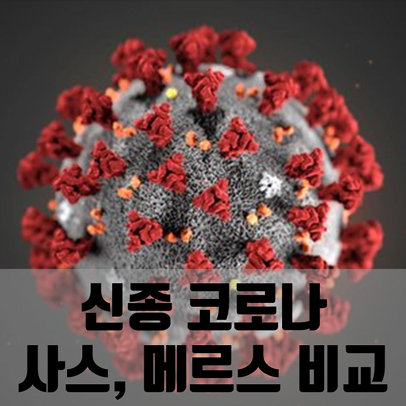 코로나 바이러스 변종 우한 폐렴, 사스, 메르스 특징 비교