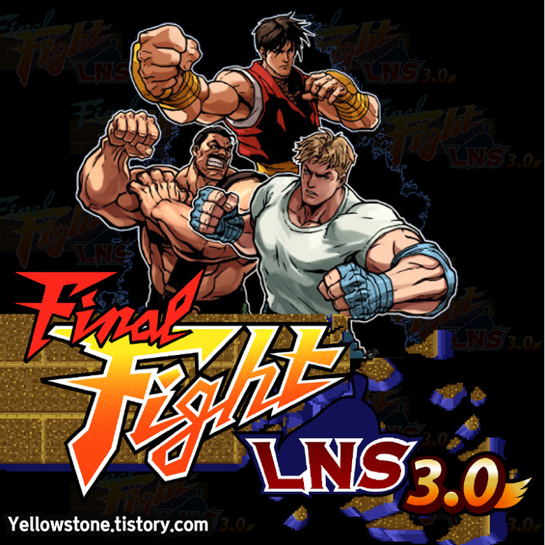 파이널 파이트 LNS 3.0 (Final Fight LNS 3.0)