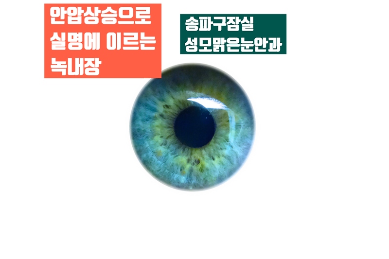 송파구 잠실안과 녹내장 검사 HU 볼까요