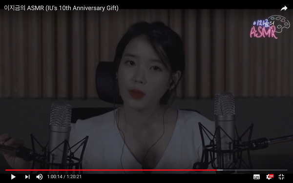 [아이유 콘서트] 2018 아이유 10주년 기념 투어 콘서트