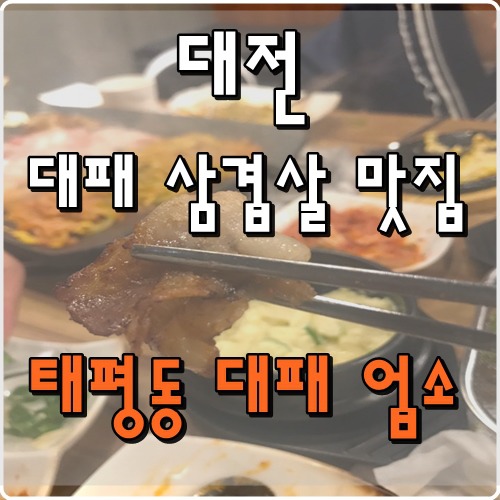 대전 태평동 맛집 대패 삼겹살이 맛있는 집 대패업소