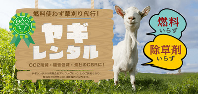 일본 염소 잡초제거 서비스, 월 4950엔 렌탈 쇄도 판매 예약 대기