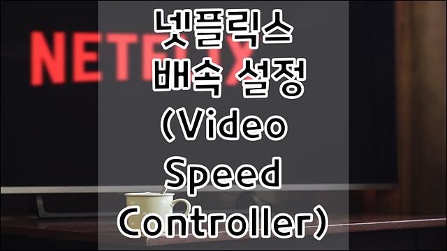 넷플릭스 배속으로 재생속도 조절하기(video speed controller)