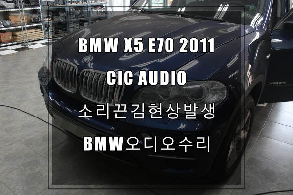 BMW오디오수리X5 E70 소리끈김현상(사운드먹통) 서비스센터 예약방문 한두어달 ㅋ 오시면 바로 점검해드려요. by 서울,안양,성남,용인,수원,동탄 BMW오디오전문수리