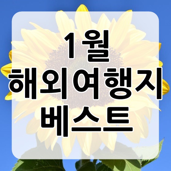 1월 해외여행지 추천 및 가족여행지 추천