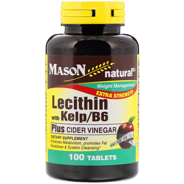 아이허브 콜레스테롤개선 뇌건강 간건강 남성건강 추천 Mason Natural, Lecithin with Kelp/B6 Plus Cider Vinegar Extra Strength, 100 Tablets 후기와 정보