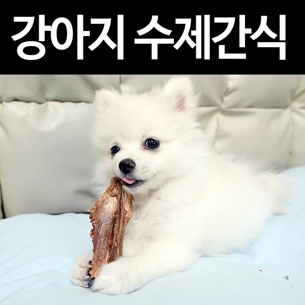 강아지수제간식: 송이 강아지케이크와 오돌뼈에 반하다