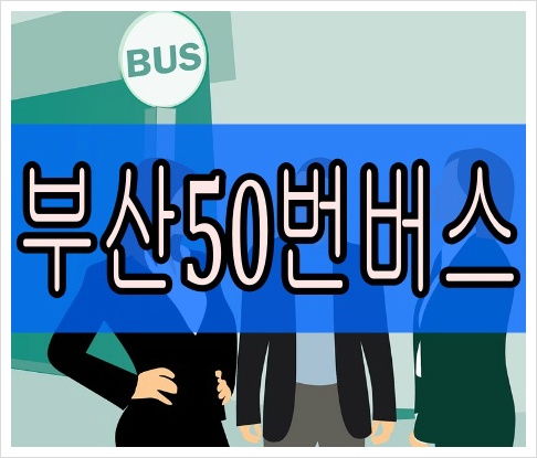 부산50번버스 최신 시간표 실시간 노선