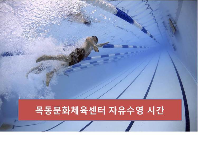 염창역 근처 수영장 목동문화체육센터 자유수영 시간