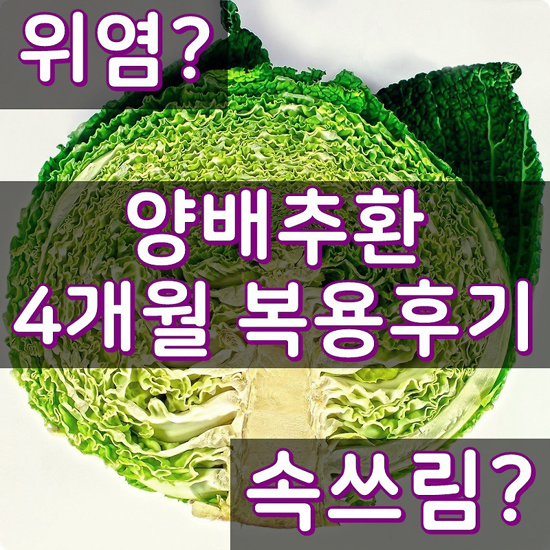 양배추환 효능 :: 4개월 복용후기