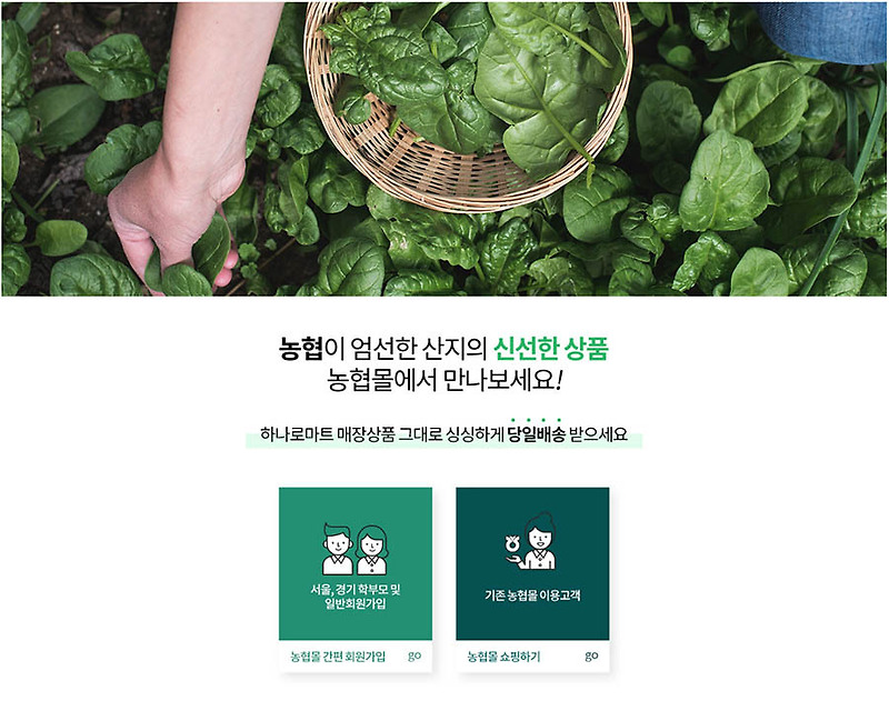 학생 식재료 바우처 지원, 농협몰 가입 및 신청 (서울, 경기도 식재료 꾸러미, 급식 꾸러미)