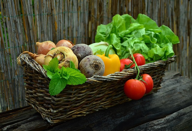 야채(野菜)와 채소(菜蔬)의 차이점
