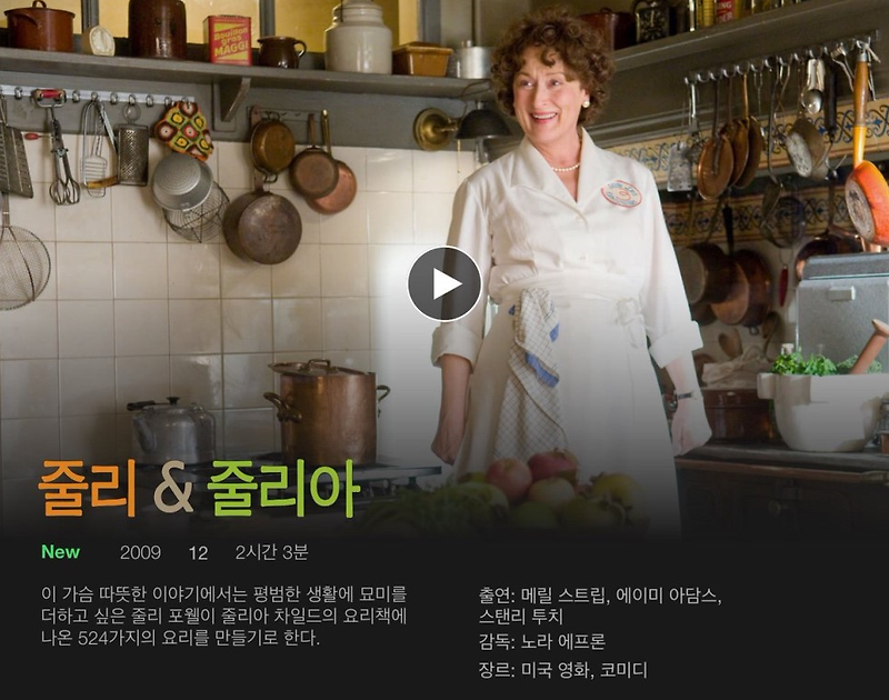 하나8. 넷플릭스, 영화 줄리&줄리아 (Julie and Julia) 대박