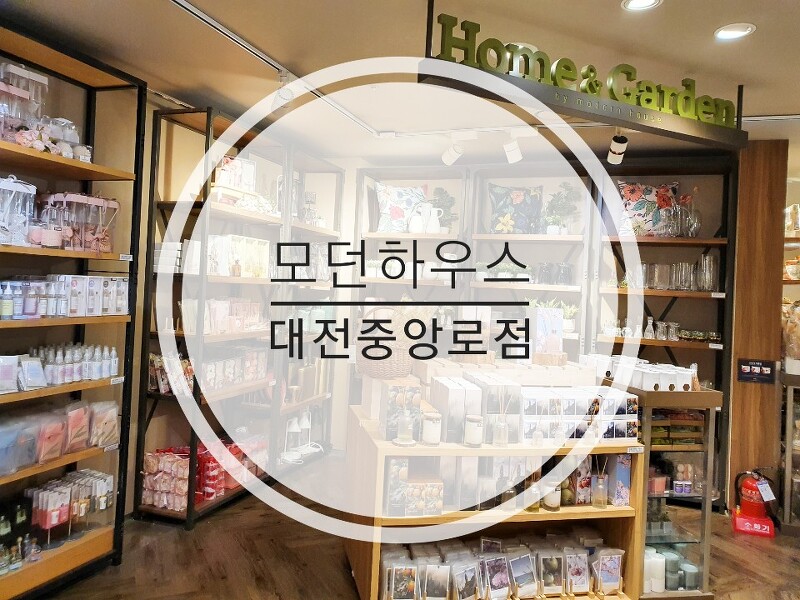 대전NC백화점 모던하우스-은행동중앙로역점:봄 맞이 인테리어 제품 구입 후기