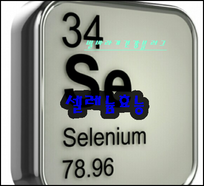 셀레늄효능