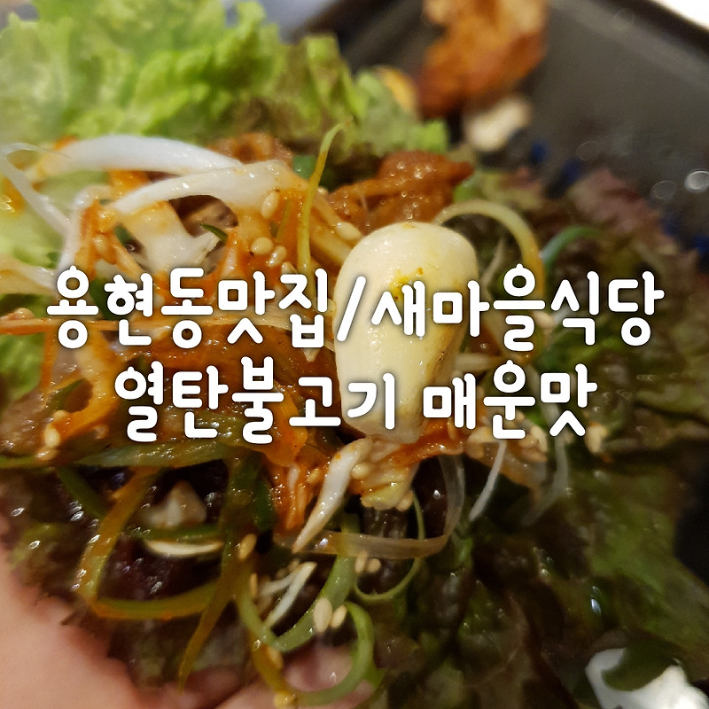 [용현동맛집/새마을식당]열탄불고기 매운맛 후기