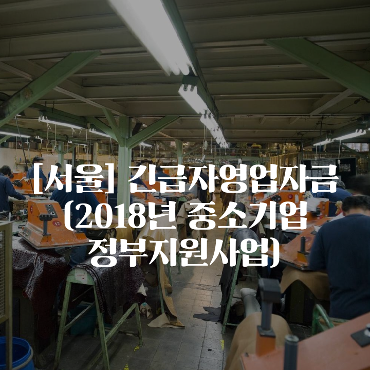 [서울] 긴급자영업자금 (2018년 중소기업 정부지원사업)