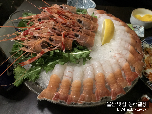 울산 달동 이자카야 맛집 동래별장, 존맛 제주딱새우회와 문어숙회!