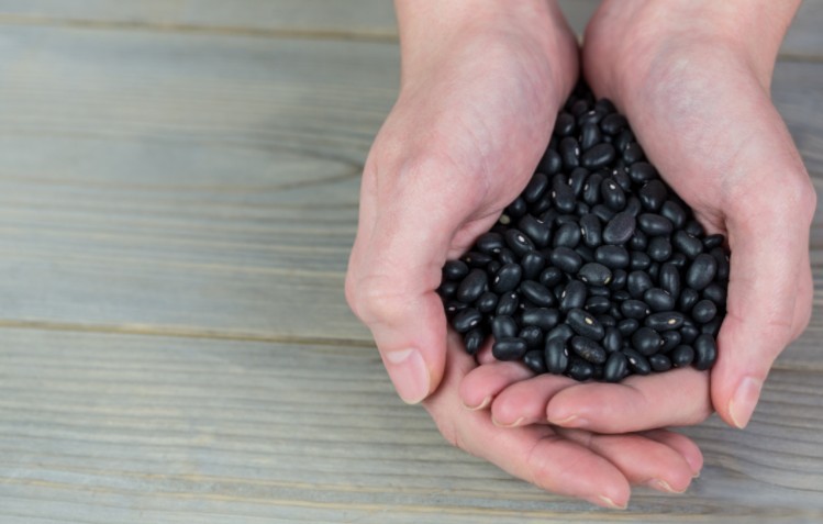 콩 중의 콩 검은 콩,서리태의 효능 5가지와 부작용 및 섭취법