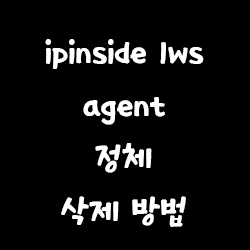 ipinside lws agent 정체 및 삭제하기