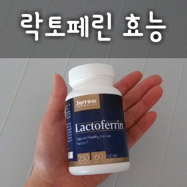락토페린 효능과 부작용 lactoferrin 면역 항염 항암 항산화 천식 철분 미숙아 다이어트 체중감량