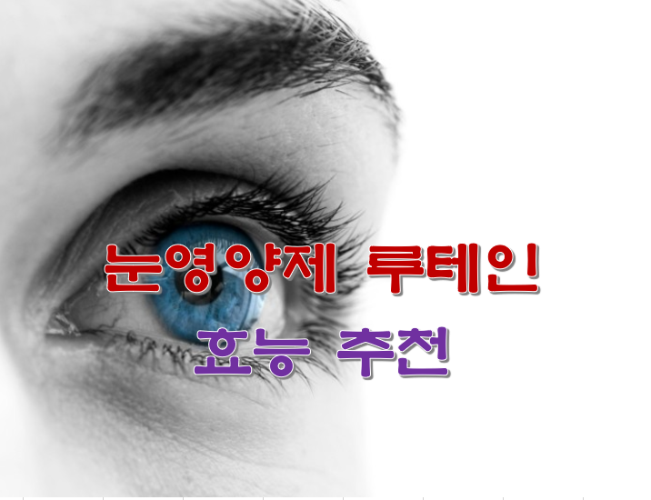 눈영양제 루테인 효능 추천