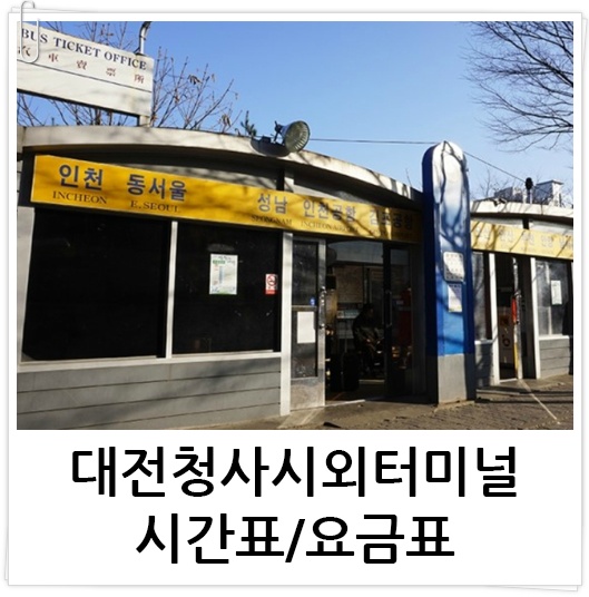 대전청사 시외버스터미널 시간표 신규 정리 고속 둔산정류소