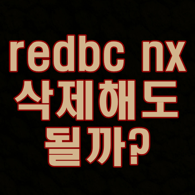 redbc nx 정체는?