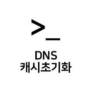 윈도우 CMD 에서 DNS 캐시 초기화