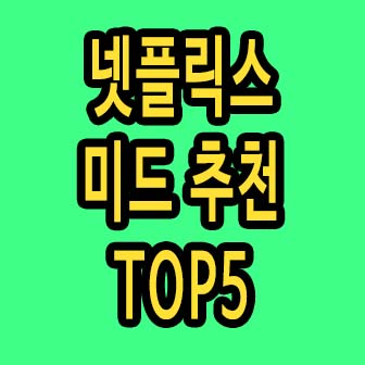 넷플릭스 미드 추천 BEST TOP 5