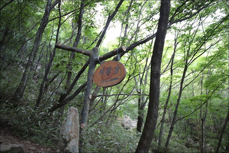 대둔산 석천암 안동 용한점집 도연산당 기도맞이