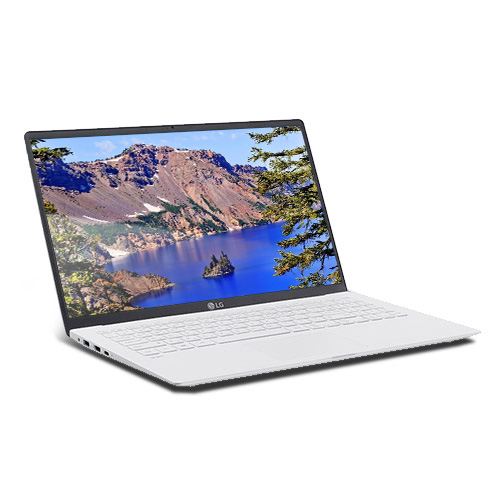 LG전자 그램 노트북 2020 15Z995-VR50K (10세대 i5-10210U 39.6cm WIN10 UHD Graphics), WIN10 Home, SSD 256GB, 8GB
