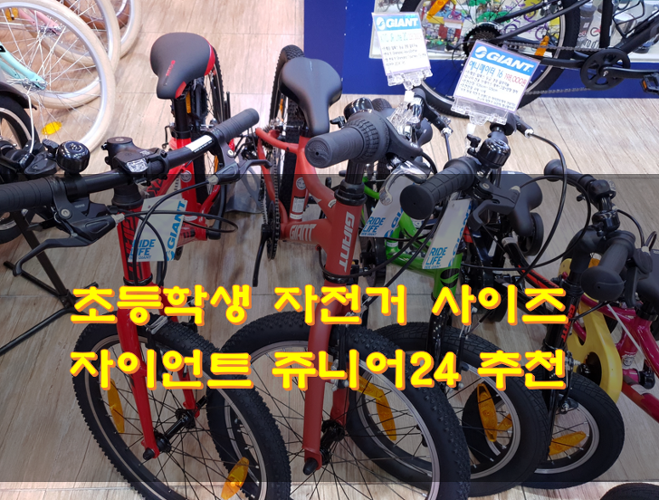 초등학생 자전거 사이즈 자이언트 쥬니어24 추천