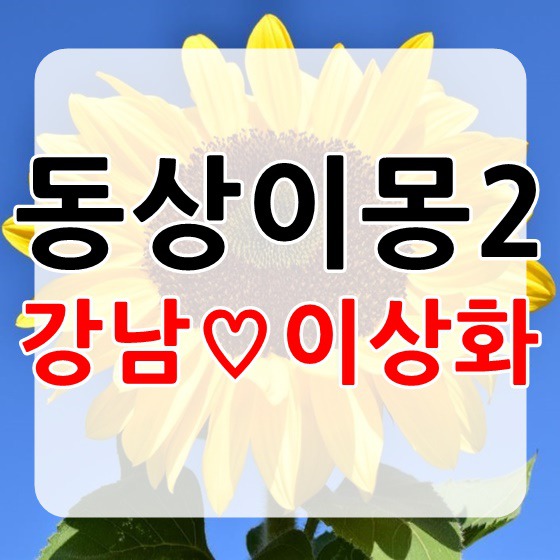 동상이몽2 예고편 강남 이상화 커플스토리