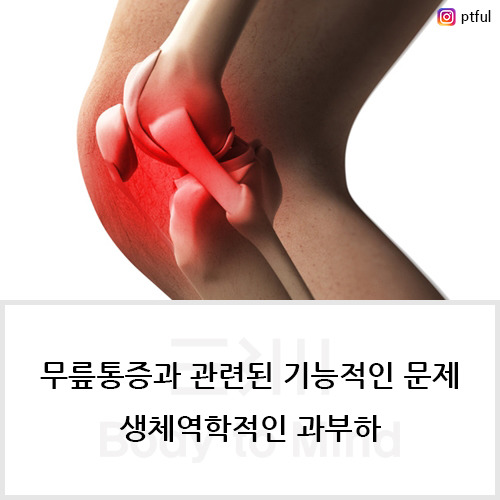 무릎통증(knee pain)과 관련된 기능적인 문제, 생체역학적인 과부하(biomechancial overload)